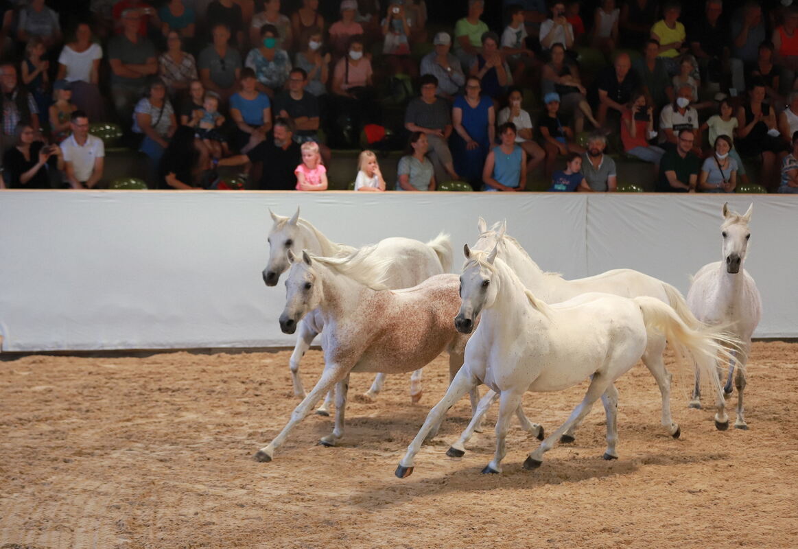 Marbach_Classic_2022__092