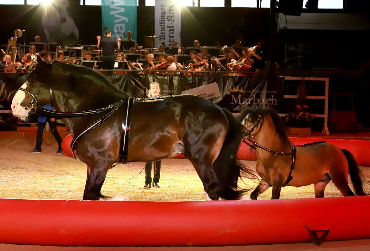 Marbach_Classic_2022__096