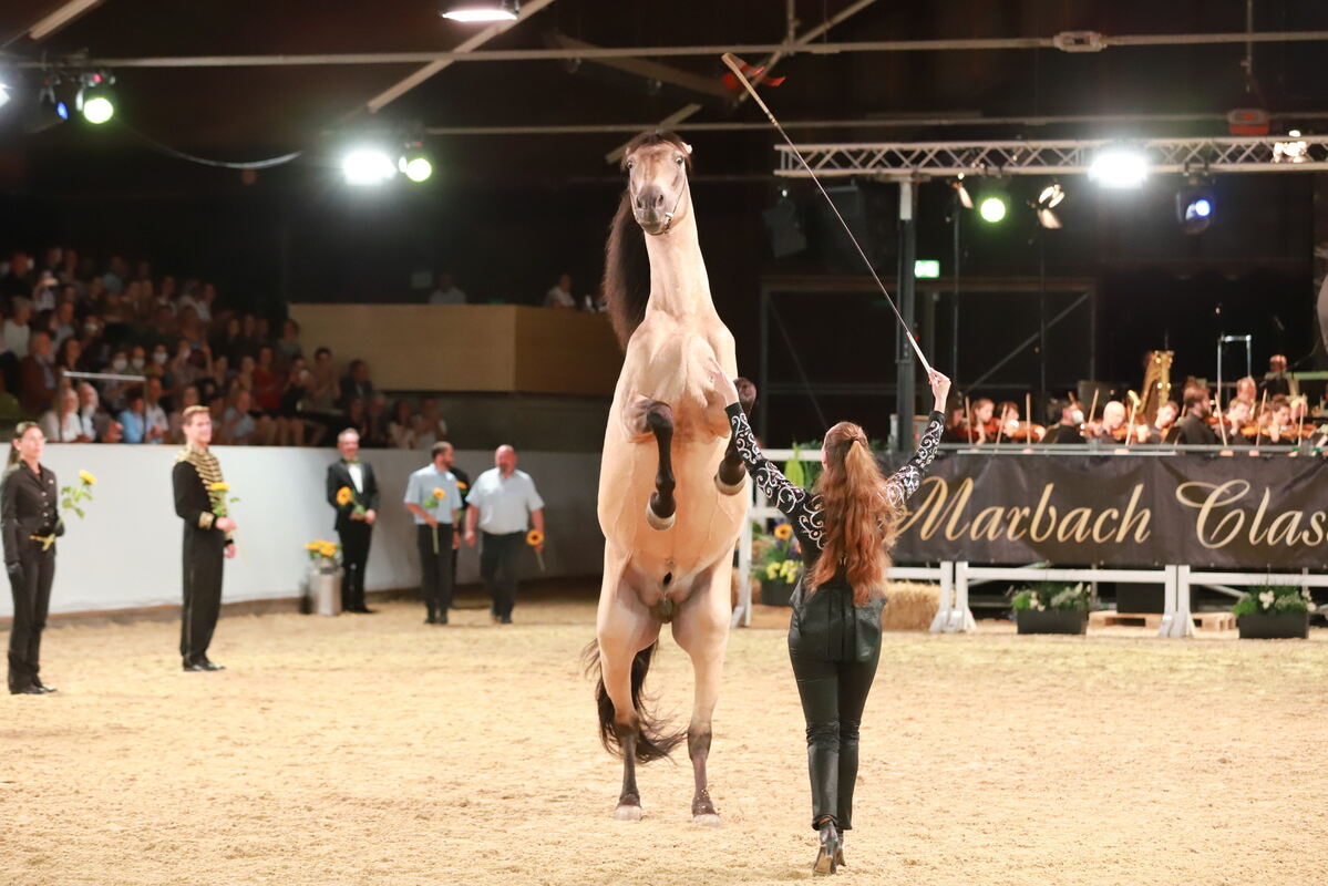 Marbach_Classic_2022__101