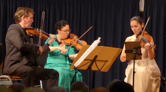 Ulrich Isfort, Annette Reisinger und Aida-Carmen Soanea (von links) vom Minguet-Quartett.  FOTO: KADEN