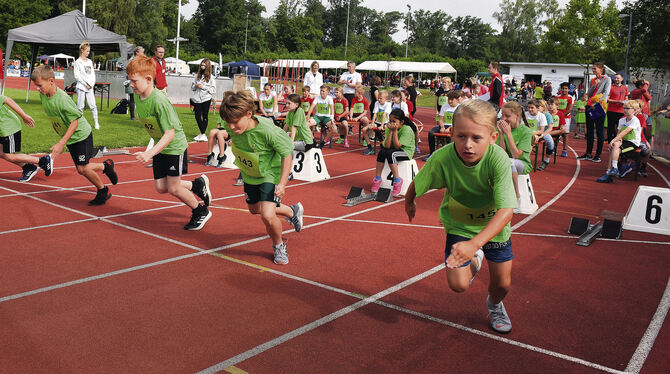Startschuss frei für einen 50-Meter-Lauf mit Mädchen und Jungen beim Kreisfinale von »Jugend trainiert für Olympia« im Pliezhäus