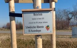 Anlässlich des 100. Geburtstags der Ortsgruppe Kusterdingen des Schwäbischen Albvereins wurde im Herbst 2021 eine Winterlinde ge