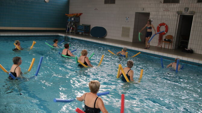 Im Haushalt sind Planungskosten von 350 000 Euro für den Umbau des Lehrschwimmbeckens eingestellt, die laufenden Kurse finden bi