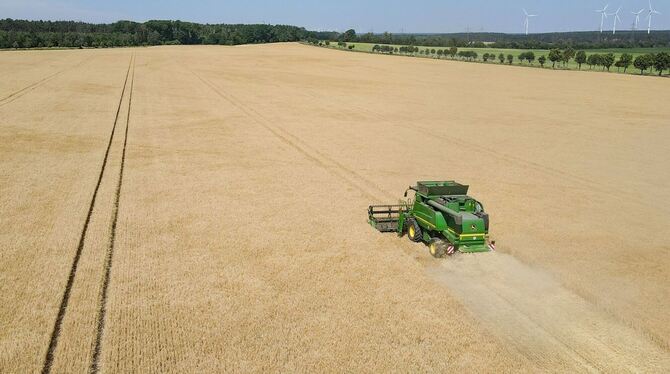 Landwirtschaft Landwirtschaft