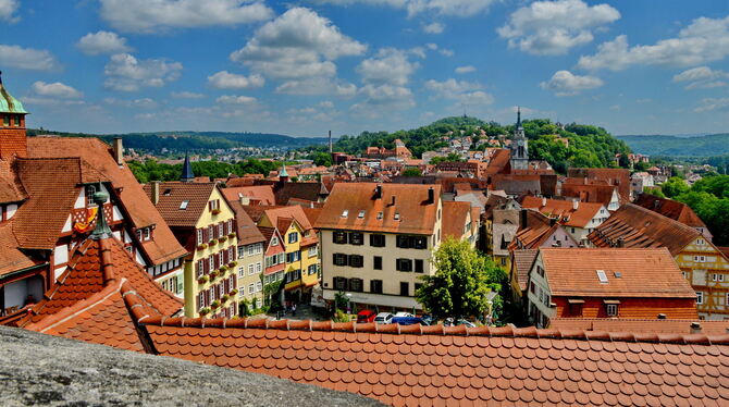 Blick auf die Unistadt vom Schloss Hohentübingen aus bis zum Österberg. FOTO: NIETHAMMER