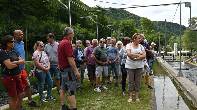 Beim Fischerfest des Forellenhofs »Rössle« konnten sich am Wochenende interessierte Besucher die moderne Fischzuchtanlage in Hon