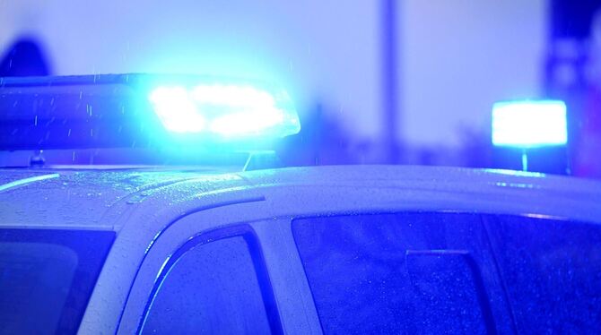 Blaulichter leuchten auf dem Dach eines Streifenwagens