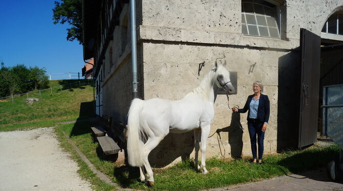 Landesoberstallmeisterin Astrid von Velsen-Zerweck präsentiert den Hengst Nasheed.  FOTO: WURSTER