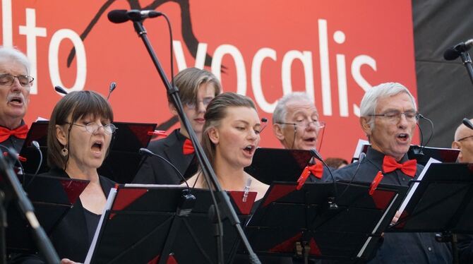 Der Konzertchor Molto Vocalis sang in der Burgruine Melchingen anspruchsvolle Chorarrangements.  FOTO: PRIVAT