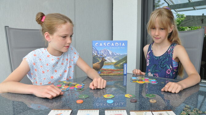Bei »Cascadia« erschaffen die Spieler Lebensräume für wilde Tiere. Es ist ein Kandidat für das »Spiel des Jahres«.  FOTO: LIEBMA