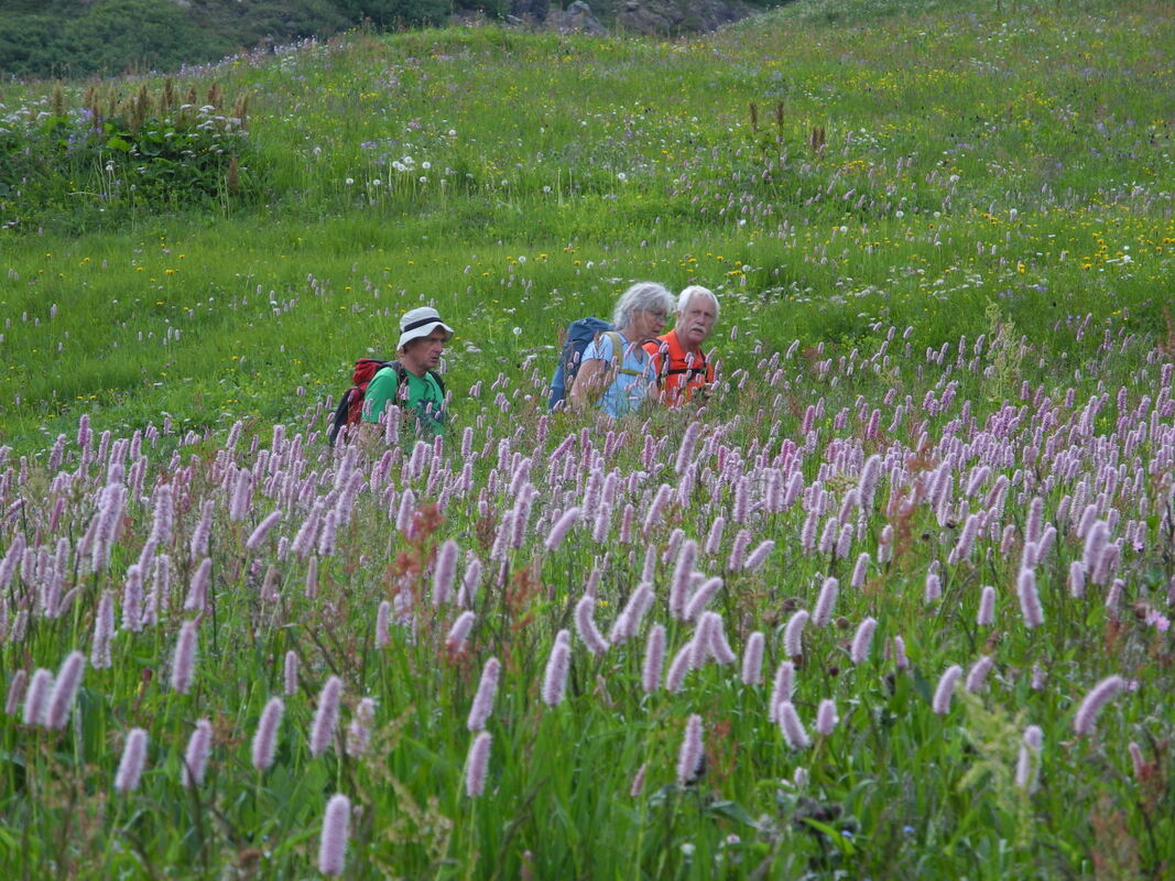 gea_dav_wanderung_2022_marc_roeder (4)