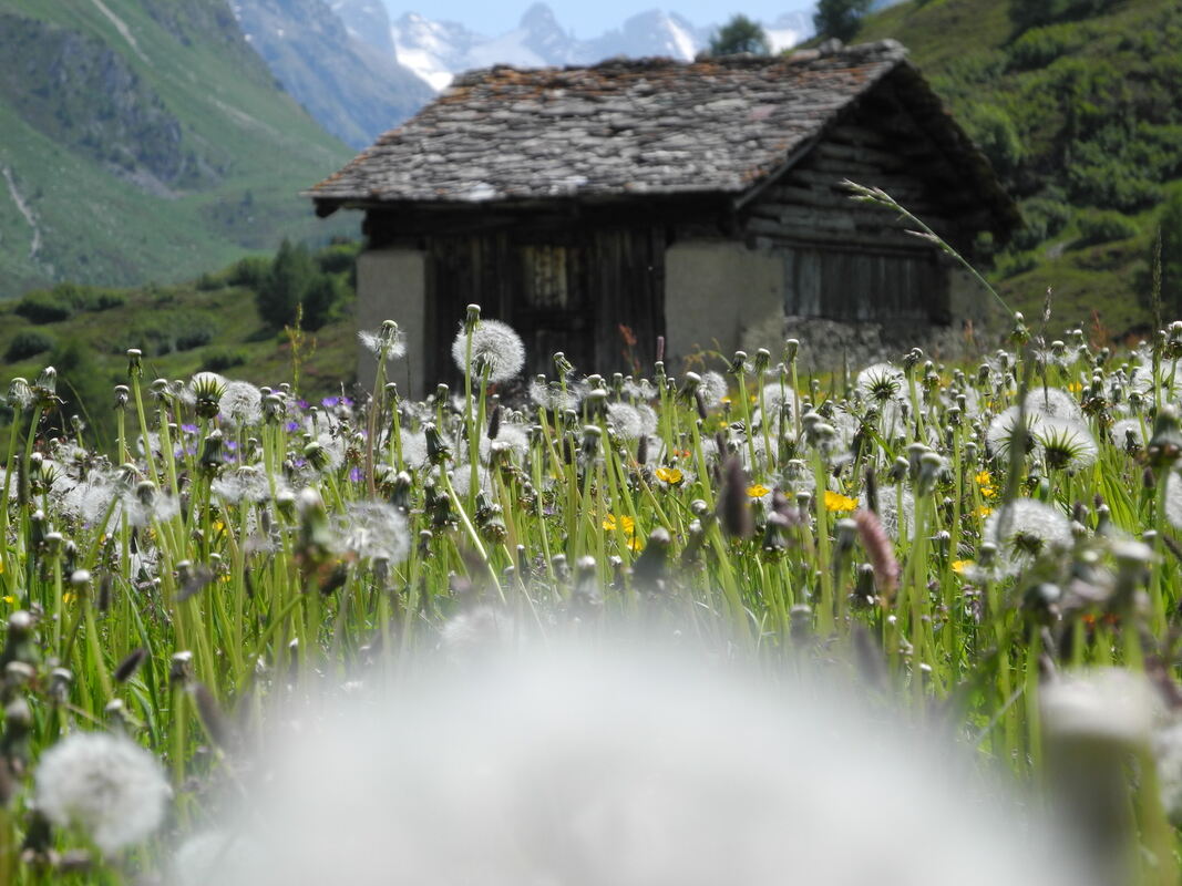 gea_dav_wanderung_2022_marc_roeder (5)