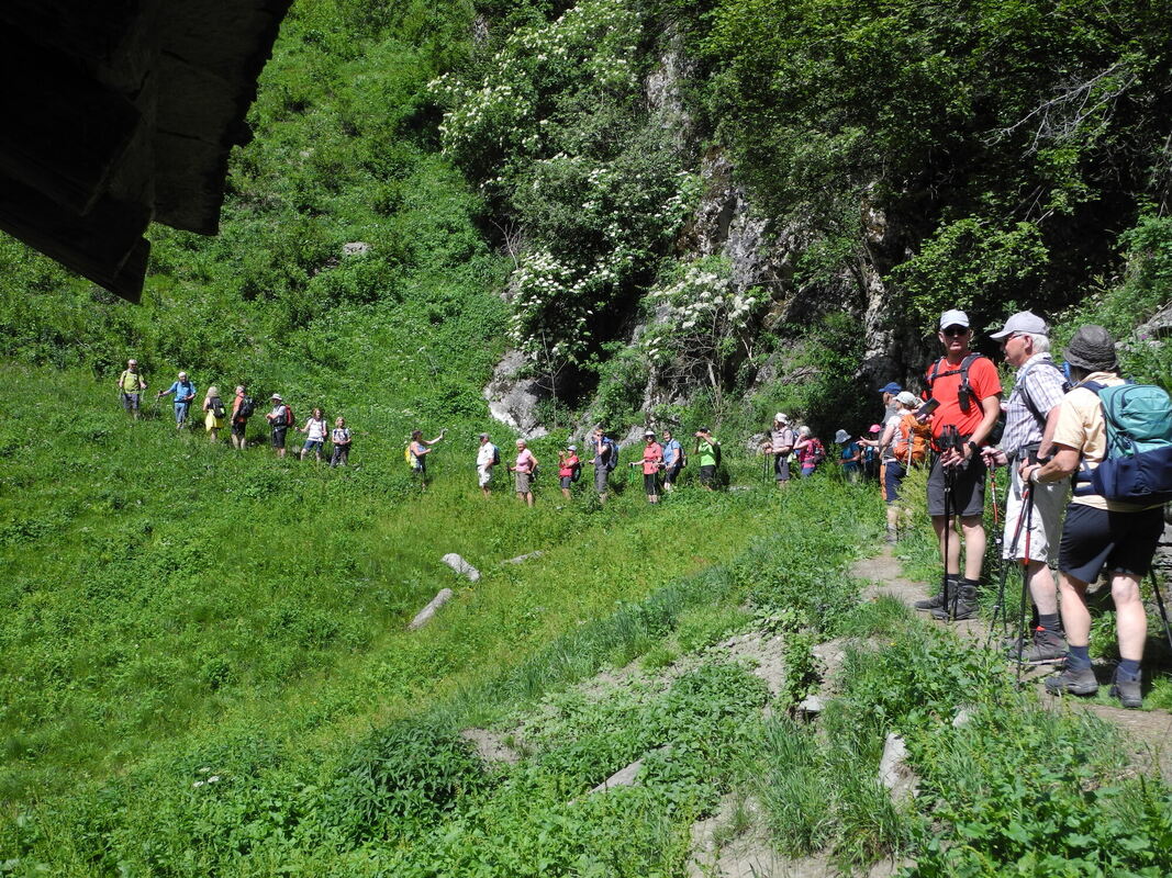 gea_dav_wanderung_2022_marc_roeder (20)