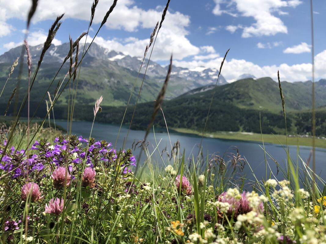 gea-dav_wanderreise 2022_iris goldack (11)