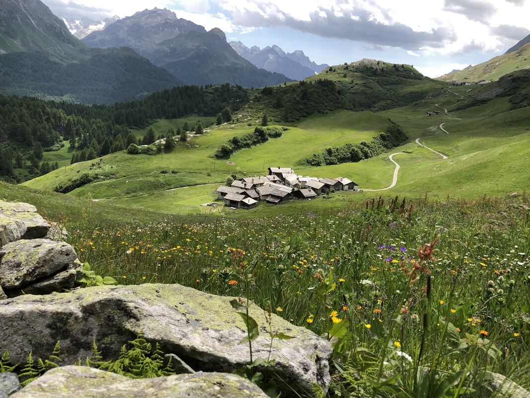 gea-dav_wanderreise 2022_iris goldack (15)