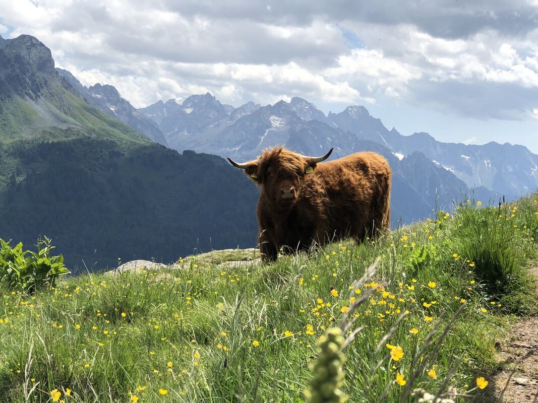 gea-dav_wanderreise 2022_iris goldack (39)