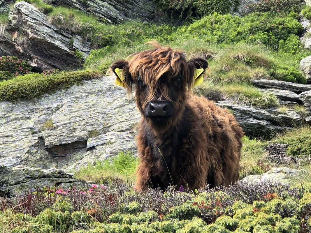 gea-dav_wanderreise 2022_iris goldack (43)