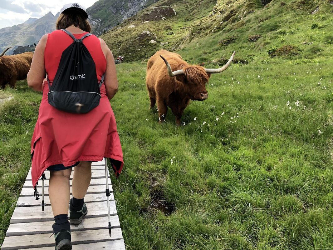 gea-dav_wanderreise 2022_iris goldack (45)