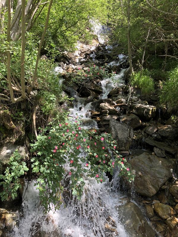 gea-dav_wanderreise 2022_iris goldack (87)