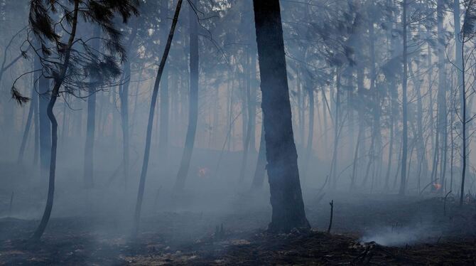 Waldbrände in Portugal