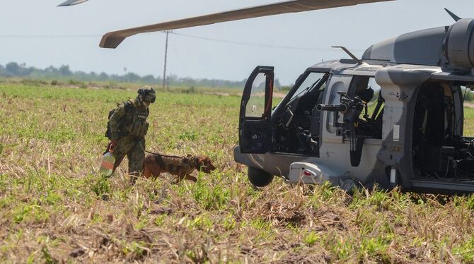 Quintero in Mexiko festgenommen