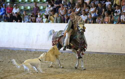 Staunen und schmunzeln: Das Gestüt zeigte, wie die Beduinen auf Jagd gehen - mit Windhunden.  FOTOS: REISNER