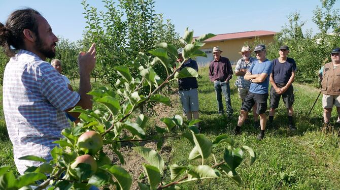 Führung von Martin Nagel durch die Metzinger Obstbauanlage zum Thema »Klimawandel«.  FOTO: LEISTER