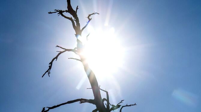 Hitze und Trockenheit