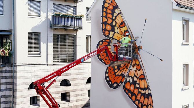 Bild von Schmetterling an Hauswand