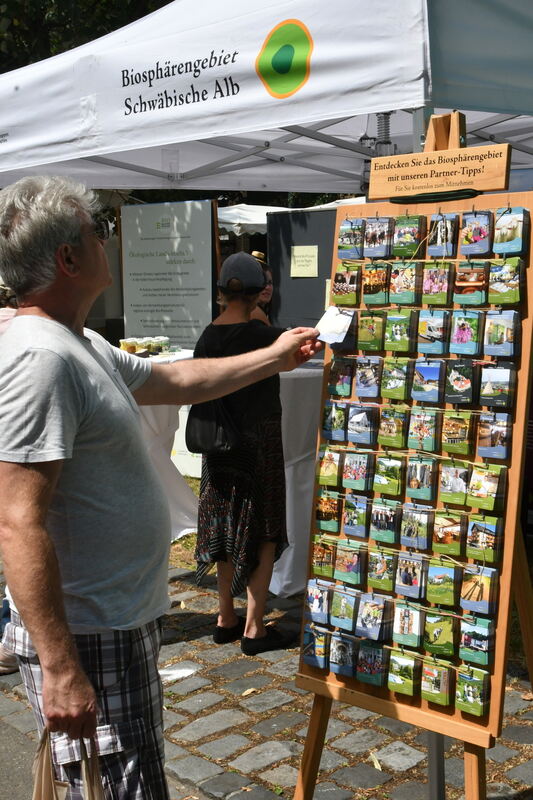 2 oh wie schön ist panama foto meye 8576