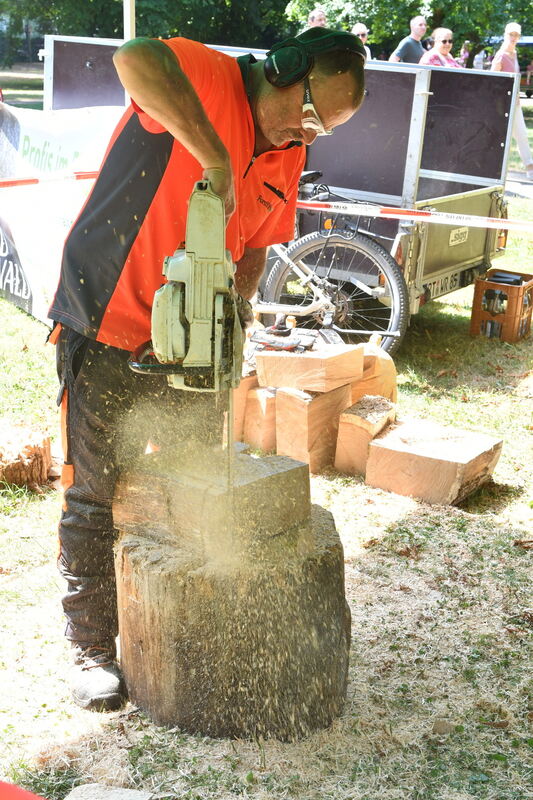 2 stichsägearbeiten foto meyer 8540