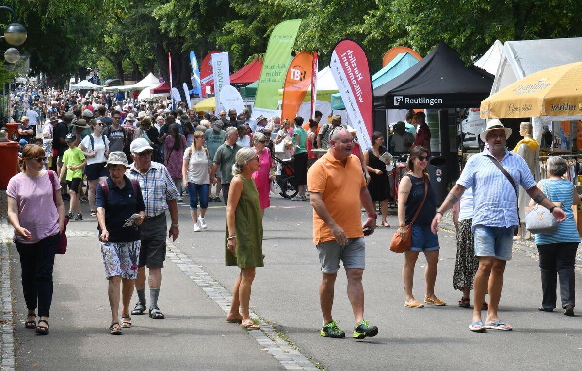 1 massen foto meyer_8574