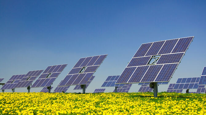 Nicht bei allen Solaranlagen im Außenbereich ist der Boden darunter nicht mehr nutzbar. FOTO: DPA