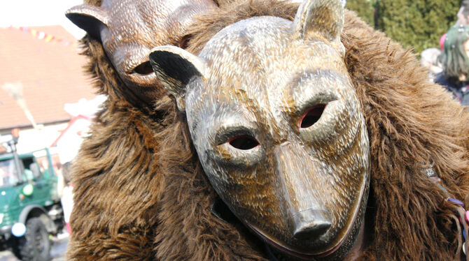 Fell und Maske: Die Bären aus Trochtelfingen treiben sich seit 44 Jahren bei der Fasnet rum.  FOTO: LEIPPERT