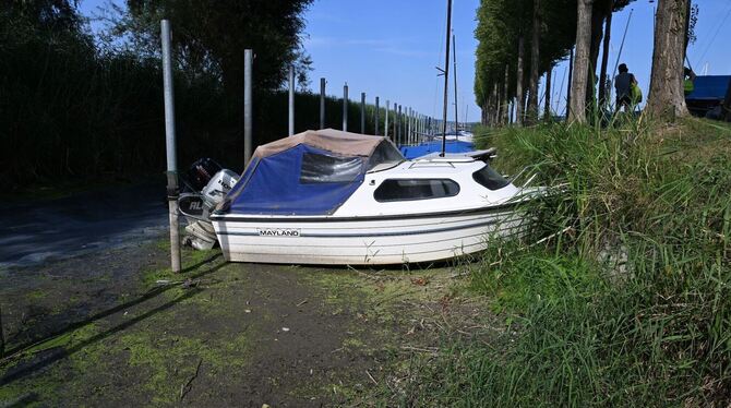 Niedrigwasser im Bodensee Niedrigwasser im Bodensee