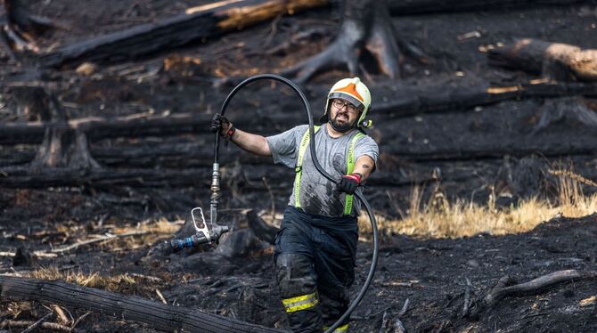 Waldbrand im Nationalpark Böhmische Schweiz
