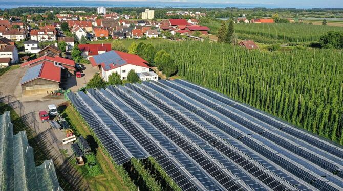Agri-Photovoltaik