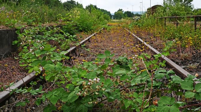 Stillgelegte Bahnstrecke Stillgelegte Bahnstrecke