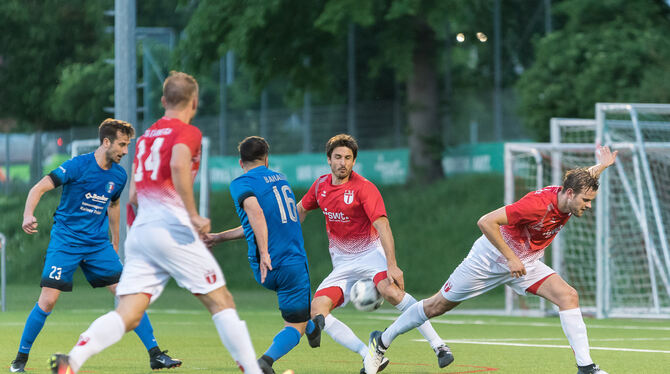Pirmin Glück ist neuer Co-Spieler-Trainer bei der TSG Tübingen. FOTO: FRANK/EIBNER