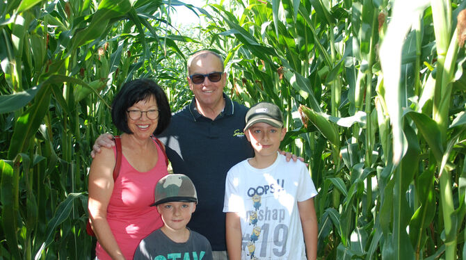 Ein Spaß für Groß und Klein: Familie Buchfink sucht sich Wege durchs Maislabyrinth. Die Pflanzen sind rund 2,50 Meter hoch.
