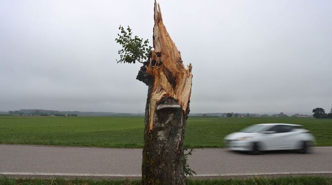 Sturmschäden im Süden