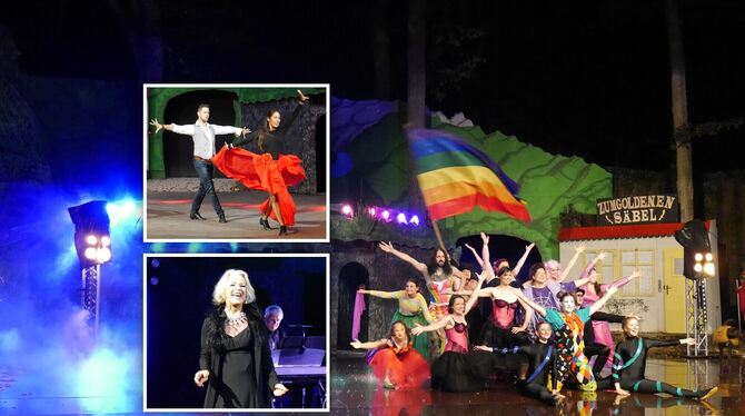 Buntes Bühnenprogramm: Beim Benefiz-Special wurde dem Publikum Sehens- und Hörenswertes geboten. FOTOMONTAGE: SCHÄLE-SCHMITT