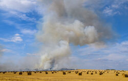 Infolge der großen Hitze kann es auch immer wieder mal zu Feldbränden kommen.  FOTO: GABBERT/DPA
