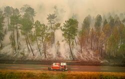 Waldbrände in Südfrankreich