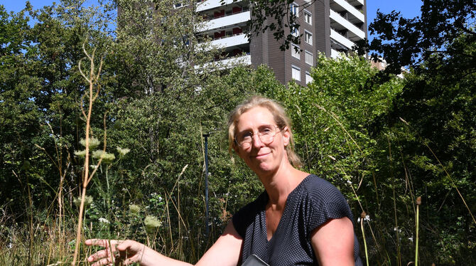 Hinten Hochhaus im Hohbuch, vorne die städtische Naturschützerin Katrin Reichenecker auf einer ökologischen Sonderfläche, die di