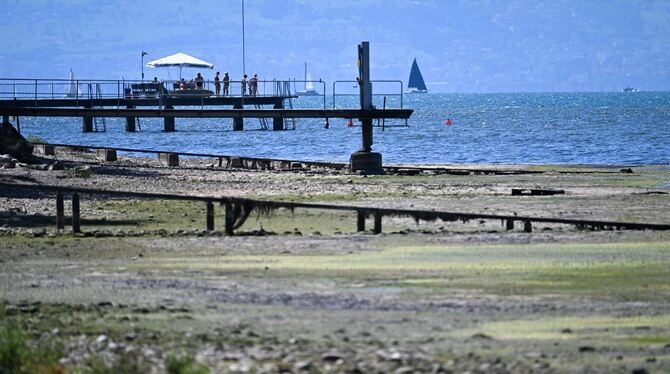 Niedrigwasser im Bodensee