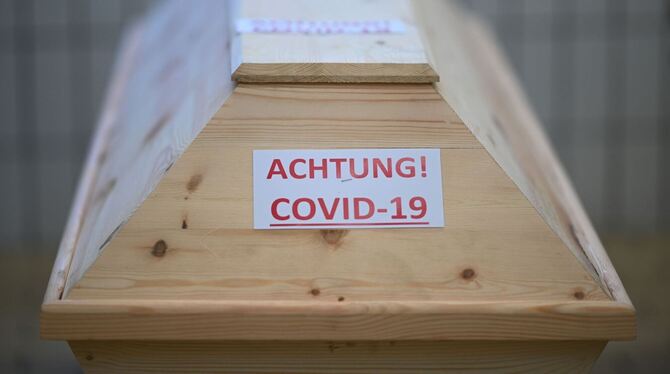 Corona-Virus Corona-Virus