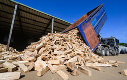 Ein Lkw lädt getrocknetes Brennholz ab. In Scheite verarbeitete Ware ist bei den Händlern kaum noch zu bekommen. FOTO: SCHULTE/D