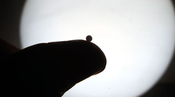 Homöopathische Globuli