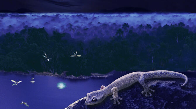 Das Geiseltal vor rund 47 Millionen Jahren: Ein Gecko der inzwischen ausgestorbenen Art Geiseleptes delfinoi lauert einem männli